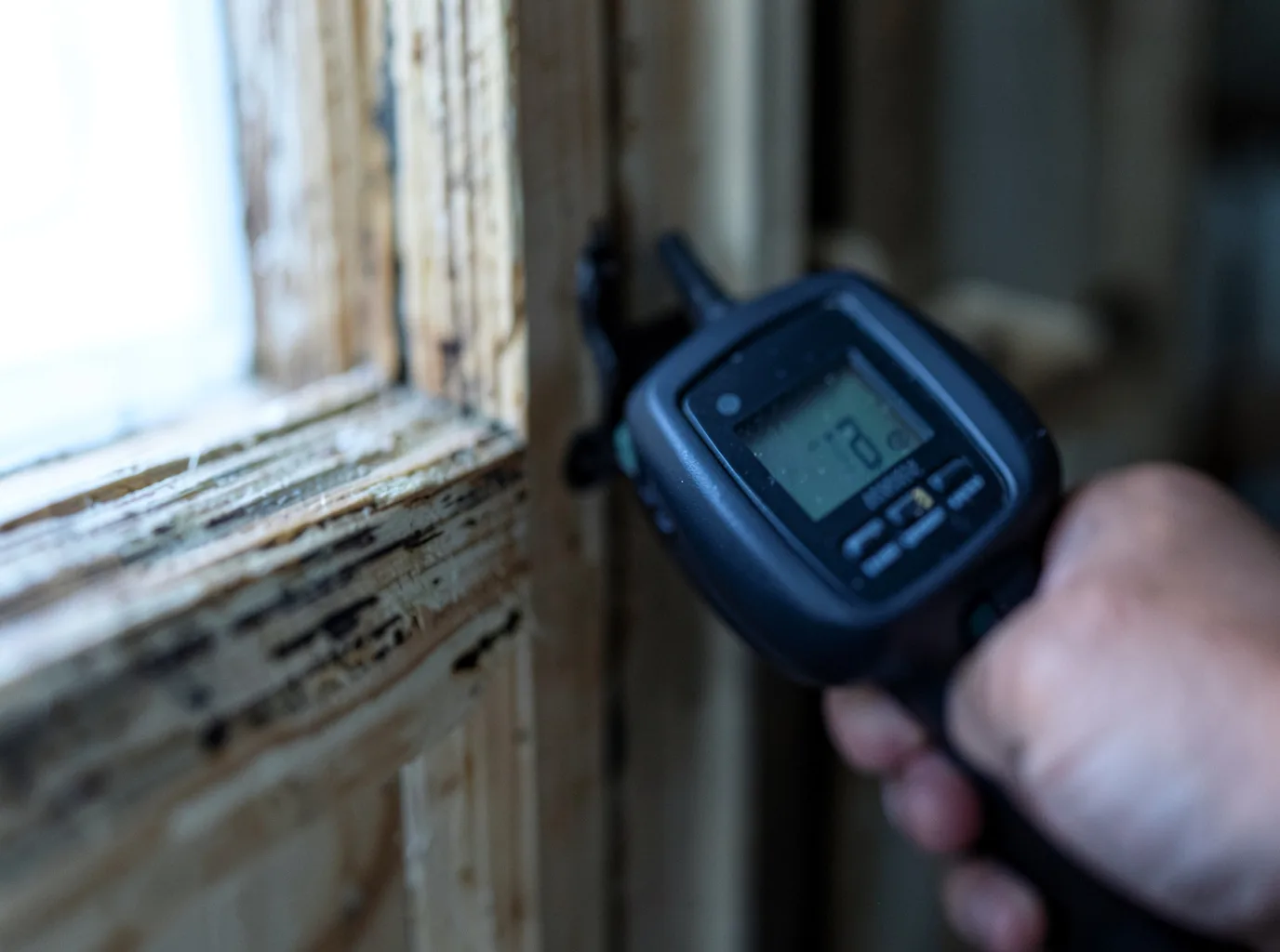 Commercial Water Damage Restoration in Lakeside, AZ